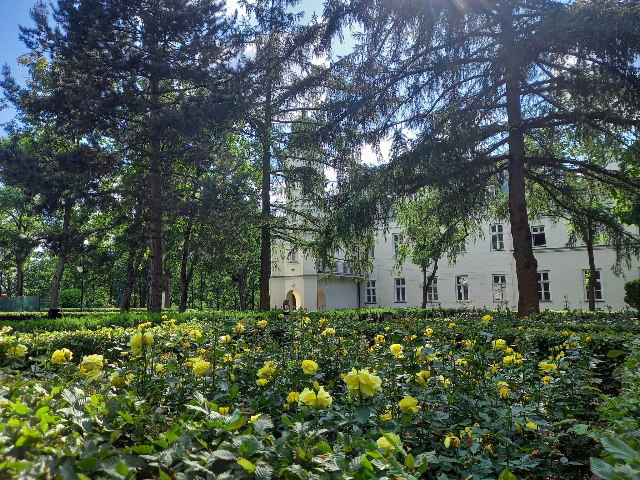 Pytanie na śniadanie... Mikroklimat Poddębic