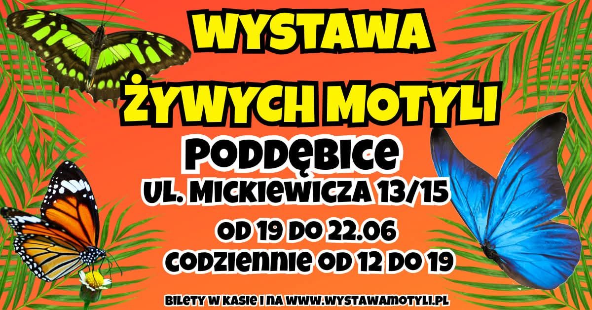 𝗪𝗬𝗦𝗧𝗔𝗪𝗔 Ż𝗬𝗪𝗬𝗖𝗛 𝗠𝗢𝗧𝗬𝗟𝗜 𝘄 𝗣𝗼𝗱𝗱ę𝗯𝗶𝗰𝗮𝗰𝗵!